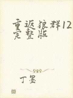 重返狼群12集完整版