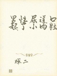 男性尿道口旁边起了小肉粒