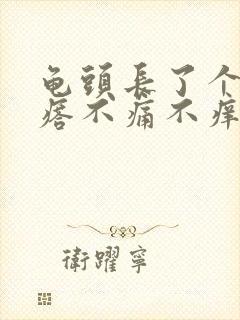 龟头长了个肉疙瘩不痛不痒封面