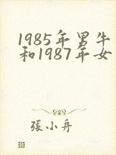 1985年男牛和1987年女兔相配吗