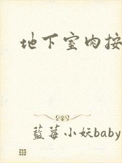 地下室肉按摩椅