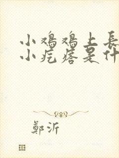 小鸡鸡上长了个小疙瘩是什么