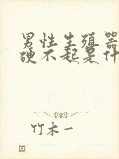 男性生殖器突然硬不起是什么原因封面