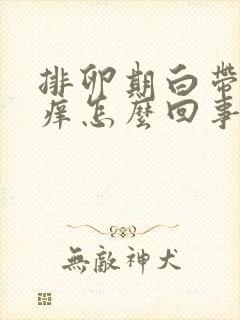 排卵期白带多瘙痒怎么回事