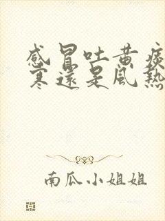 感冒吐黄痰是风寒还是风热封面