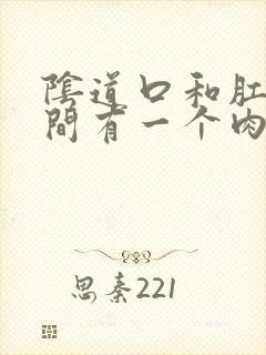 阴道口和肛门之间有一个肉球