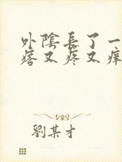 外阴长了一个疙瘩又疼又痒