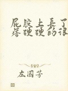 屁股上长了个疙瘩硬硬的很疼