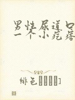 男性尿道口长了一个小疙瘩怎么回事