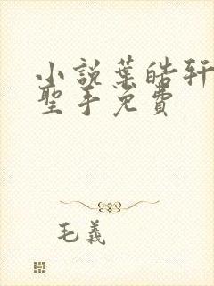 小说叶皓轩妙医圣手免费