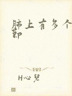 肺上有多个微结节