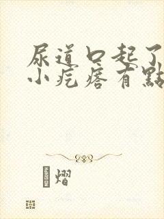 尿道口起了一个小疙瘩有点疼