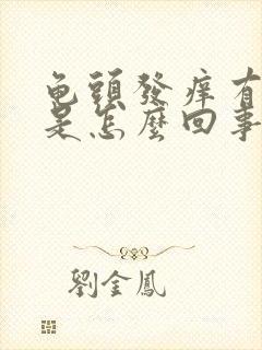 龟头发痒有红斑是怎么回事封面