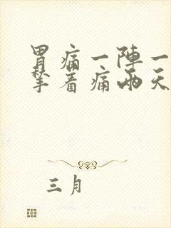 胃痛一阵一阵的揪着痛两天了