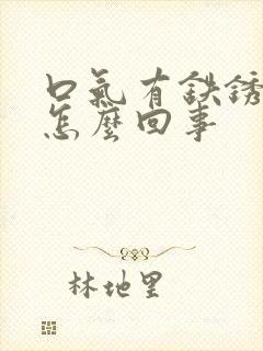 口气有铁锈味是怎么回事封面