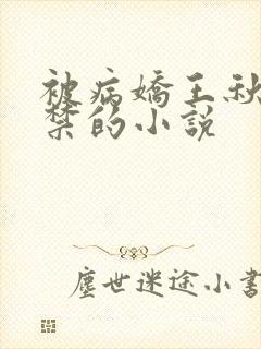 被病娇王秋儿囚禁的小说