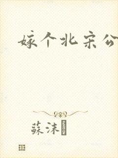 嫁个北宋公务员