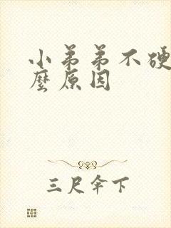 小弟弟不硬是什么原因