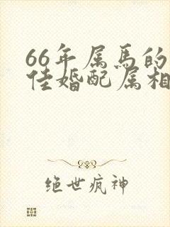 66年属马的最佳婚配属相封面