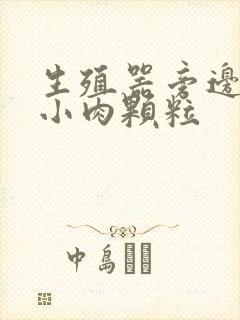 生殖器旁边有长小肉颗粒