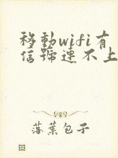 移动wifi有信号连不上网怎么回事