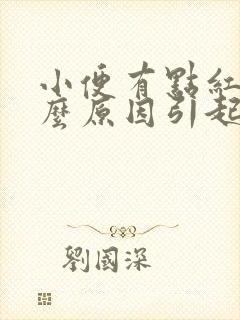 小便有点红是什么原因引起的封面