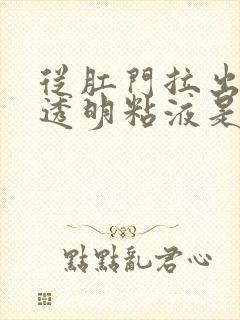 从肛门拉出白色透明粘液是什么情况