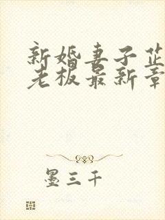 新婚妻子芷珊菜老板最新章节更