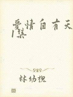 爱情自有天意第1集