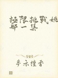 极限挑战姚晨是哪一集