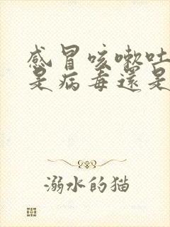 感冒咳嗽吐黄痰是病毒还是细菌封面