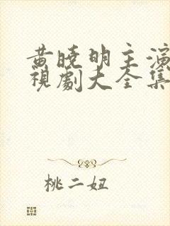 黄晓明主演的电视剧大全集免费观看