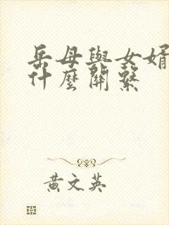 岳母与女婿称为什么关系封面