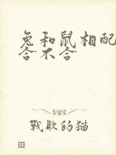 兔和鼠相配婚姻合不合封面