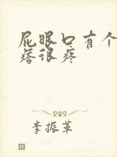 屁眼口有个硬疙瘩很疼封面