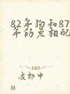 82年狗和87年的兔相配吗