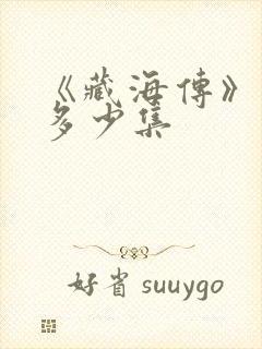 《藏海传》一共多少集