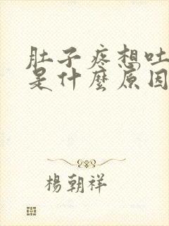 肚子疼想吐拉稀是什么原因