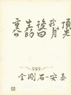 重生后我顶替老公的白月光