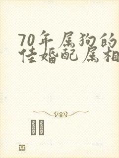 70年属狗的最佳婚配属相封面