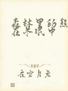 森林里的熊先生在冬眠中封面