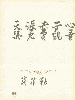 天涯赤子心40集免费观看封面