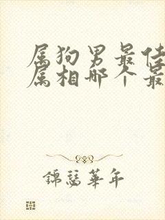 属狗男最佳婚配属相哪个最好封面