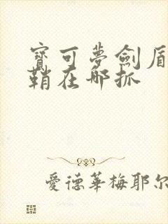 宝可梦剑盾独剑鞘在哪抓