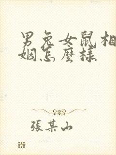 男兔女鼠相配婚姻怎么样