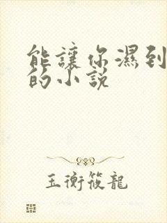 能让你湿到不行的小说