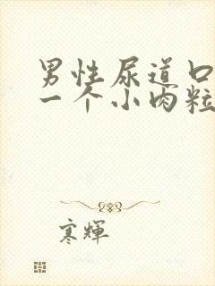 男性尿道口上有一个小肉粒