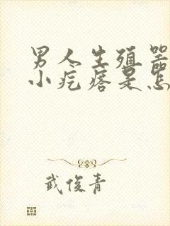 男人生殖器长满小疙瘩是怎么回事封面