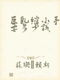 巨乳缩小手术需要多少钱