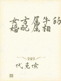 女方属牛的最佳婚配属相封面